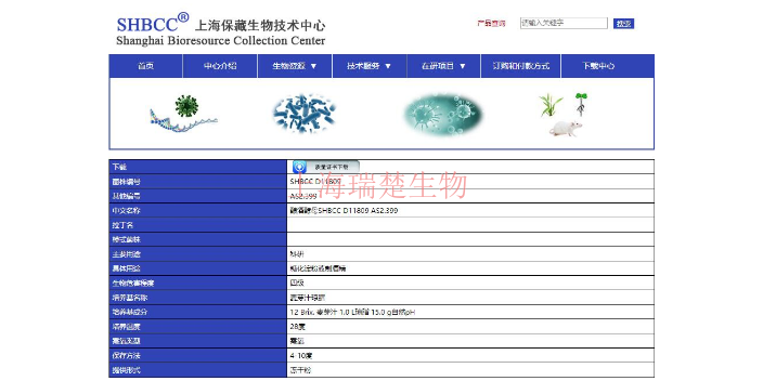 肠沙门氏菌菌株 欢迎咨询 上海瑞楚生物科技供应
