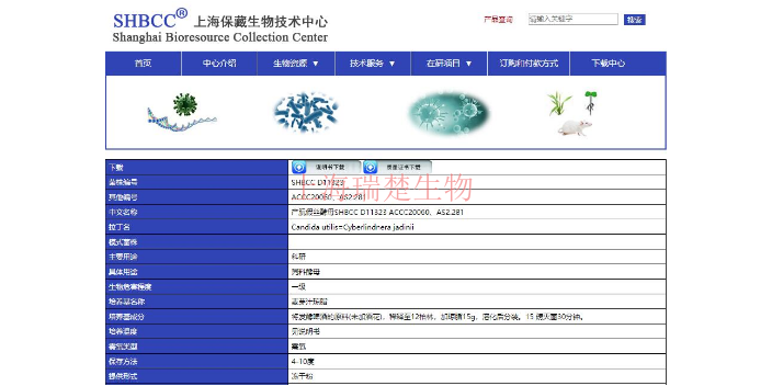 卡夫尼冰川雷夫松氏菌菌种 欢迎来电 上海瑞楚生物科技供应