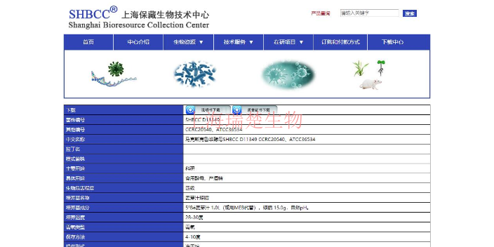 江西糖多孢菌 欢迎咨询 上海瑞楚生物科技供应