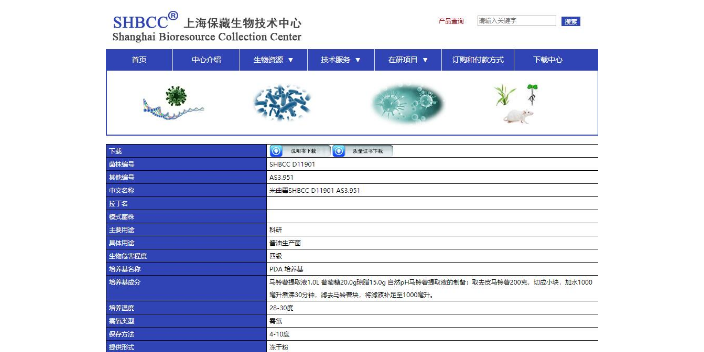 刺盘孢菌图片