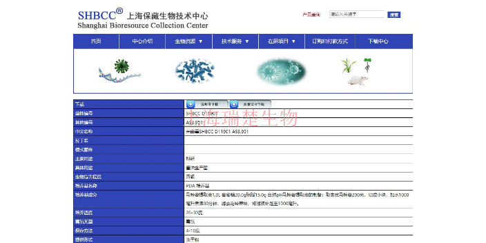 Solobacterium moorei菌种 欢迎来电 上海瑞楚生物科技供应