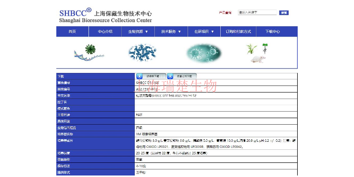 动物双歧杆菌乳亚种菌种