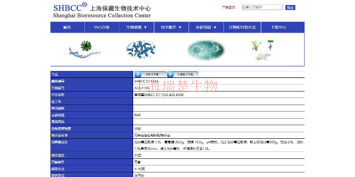 刺孢红链霉菌菌种