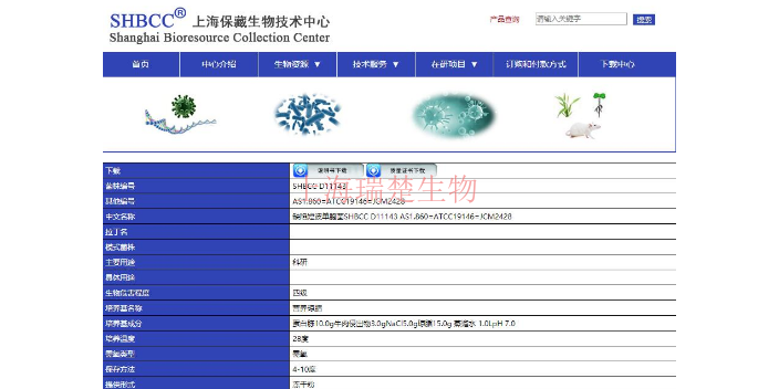 波状曲霉菌种