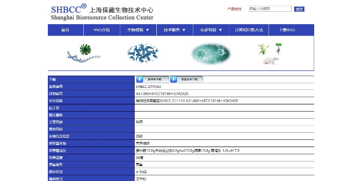 研究團隊谷氨酸桿菌 歡迎咨詢 上海瑞楚生物科技供應