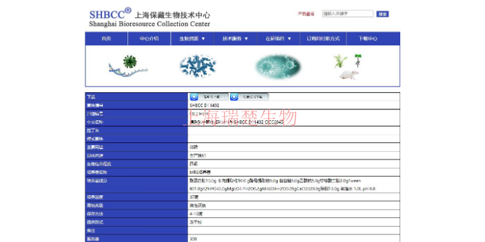 印度洋污水单胞菌菌株 欢迎咨询 上海瑞楚生物科技供应