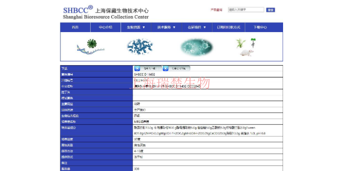 包氏不动杆菌菌种