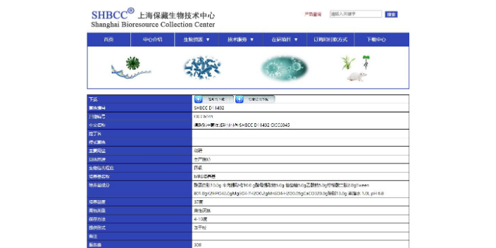 嗜碱盐水球菌 欢迎咨询 上海瑞楚生物科技供应;