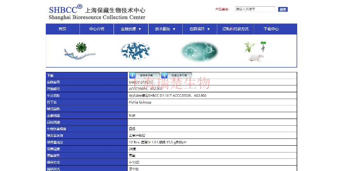 烬灰刺孢链霉菌菌株 欢迎咨询 上海瑞楚生物科技供应