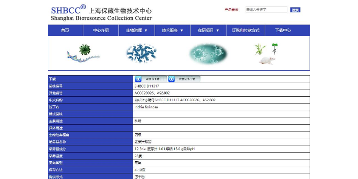遼寧刺盤孢菌種 歡迎咨詢 上海瑞楚生物科技供應