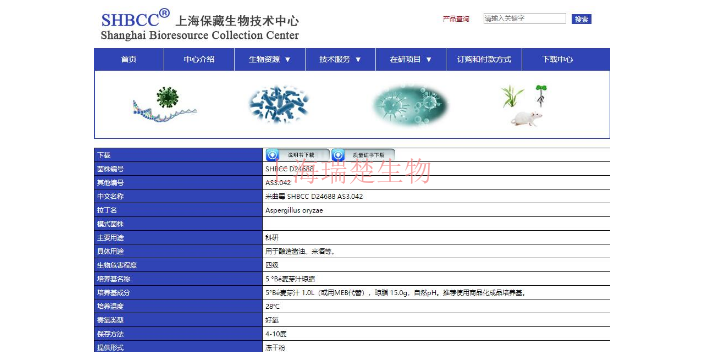 产紫晶链孢囊菌福井亚种菌株 欢迎来电 上海瑞楚生物科技供应