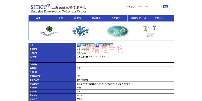 腐生葡萄球菌菌种 欢迎咨询 上海瑞楚生物科技供应