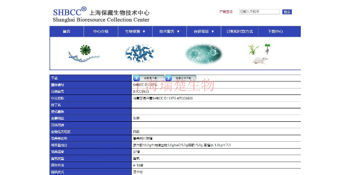 海交替单胞菌菌种