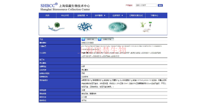 枝芽胞杆菌属菌株