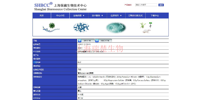 山丘链霉菌菌株 欢迎咨询 上海瑞楚生物科技供应