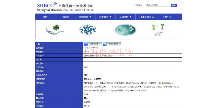 越南伯克霍尔德氏菌菌种