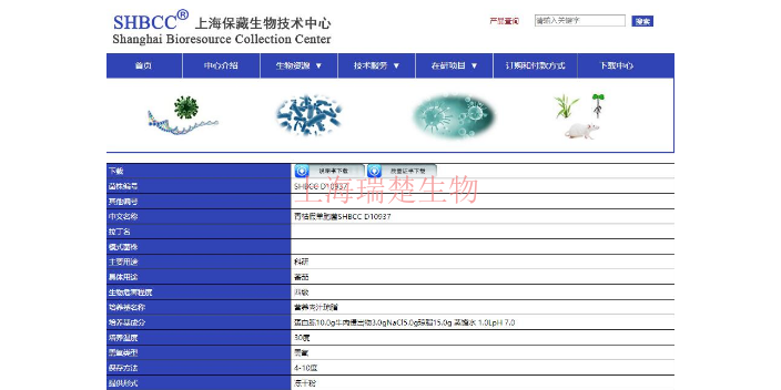 溶血孪生球菌 欢迎咨询 上海瑞楚生物科技供应