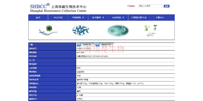 藤黄八叠球菌菌株 欢迎咨询 上海瑞楚生物科技供应