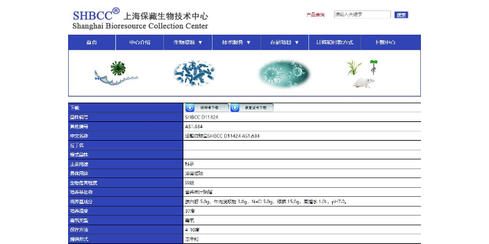 黃色微球菌菌株 歡迎咨詢 上海瑞楚生物科技供應(yīng)