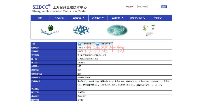 短密青霉菌种 欢迎咨询 上海瑞楚生物科技供应