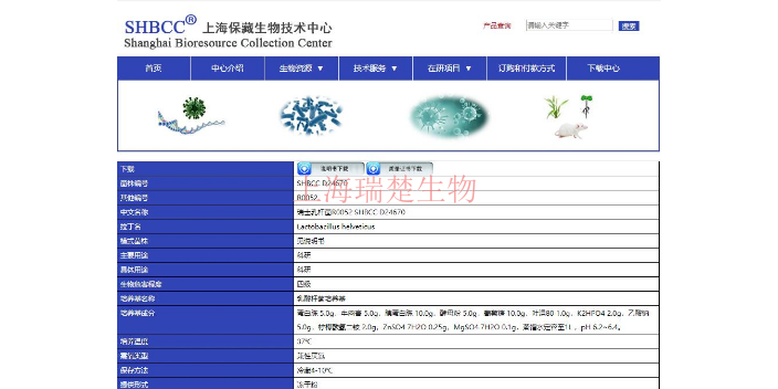 玉蜀黍球梗孢菌株