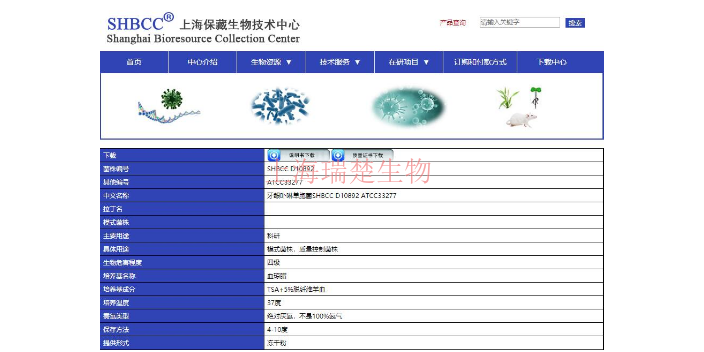 纯黄丝衣霉菌株 欢迎咨询 上海瑞楚生物科技供应