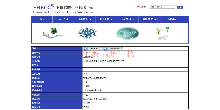 冰川鞘氨醇单胞菌菌株