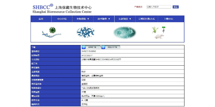 大清坝寡食杆菌 欢迎咨询 上海瑞楚生物科技供应