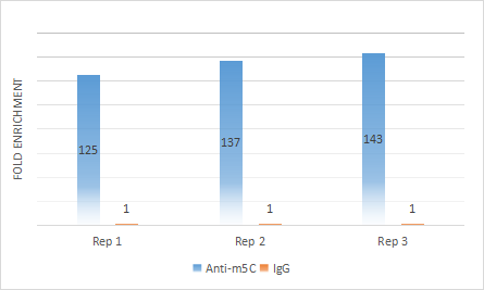 图3. 针对m5C（+）RNA，分别用m5C抗体IgG对照抗体的MeRIP-qPCR检测结果。