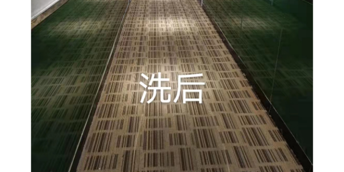 徐匯區自動化地毯保潔報價