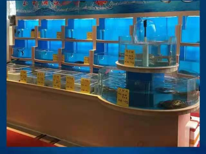 邳州玻璃海鲜鱼缸厂家,海鲜鱼缸