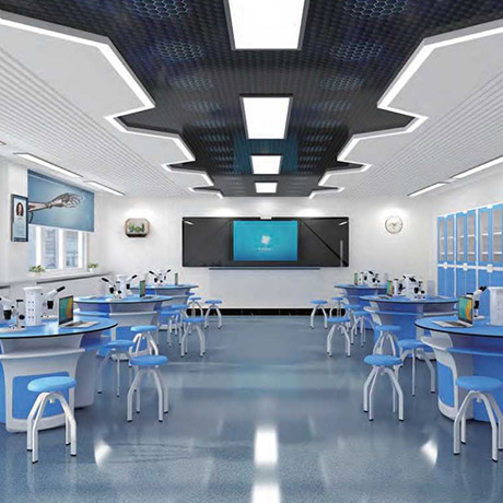 教学实验室专用教室教学桌椅教学器材教学仪器体育场地幼儿玩具幼儿床