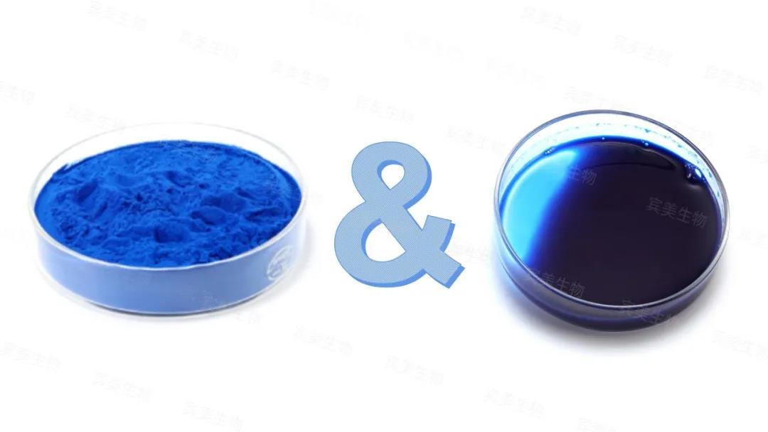 藻藍(lán)蛋白