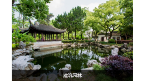 園林綠化養(yǎng)護(hù)成為城市美化的重要一環(huán)