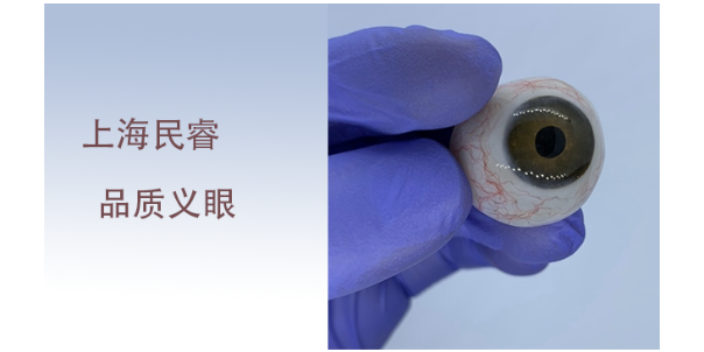 上海摘除假眼材料 上海崇睿醫(yī)療器械科技供應(yīng)