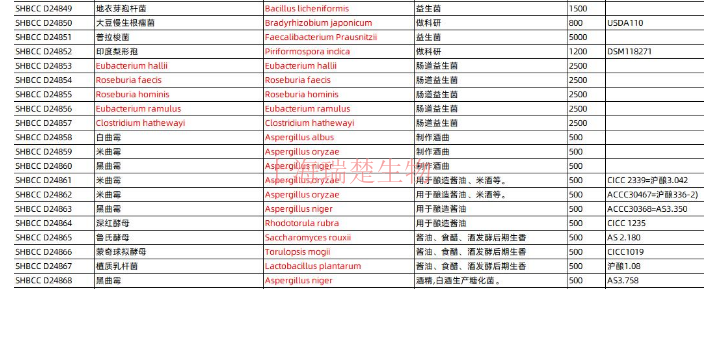 爱达荷梨头霉原变种菌株 欢迎咨询 上海瑞楚生物科技供应