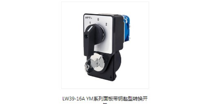 嘉定区主营LW39系列转换开关厂家供应 欢迎来电 上海喆和机电供应