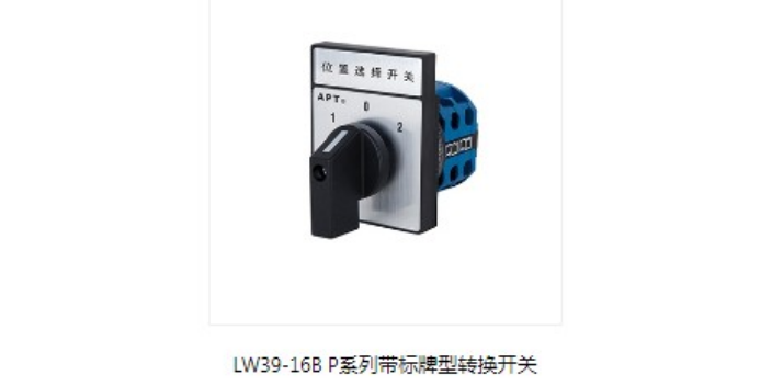 上海主营LW39系列转换开关公司