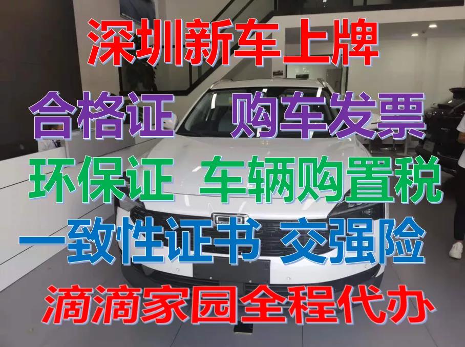 小汽車指標上牌