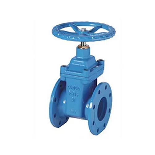 gate valve