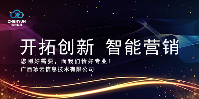 武鸣区公司有智能网络营销排名 诚信服务 广西珍云信息供应