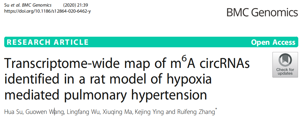 文章2：缺氧介导的肺动脉高压大鼠模型中circRNA m6A甲基化综合分析