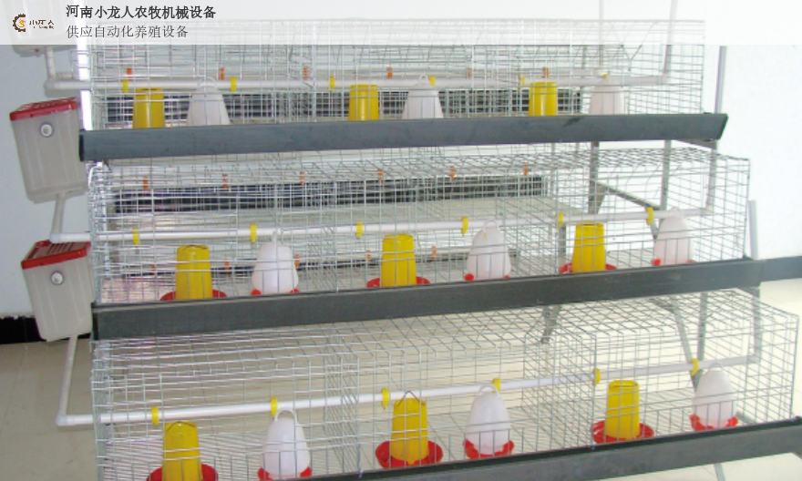 驻马店智能养鸡设备视频 河南小龙人农牧机械设备供应