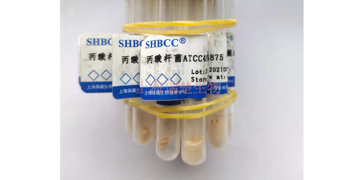 白色库茨涅尔氏菌菌种 欢迎咨询 上海瑞楚生物科技供应