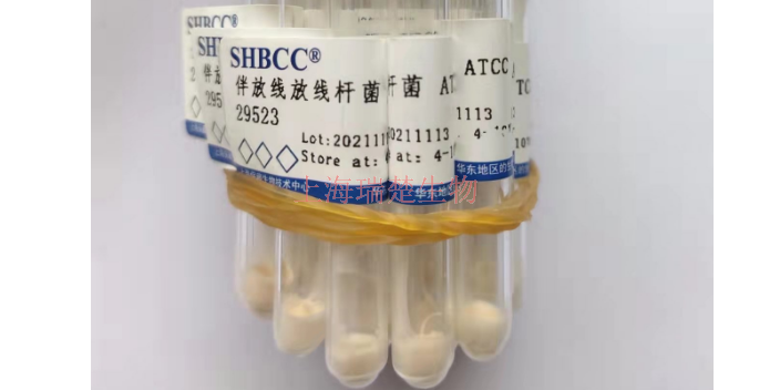 塔斯曼尼亚弧菌菌株 欢迎咨询 上海瑞楚生物科技供应