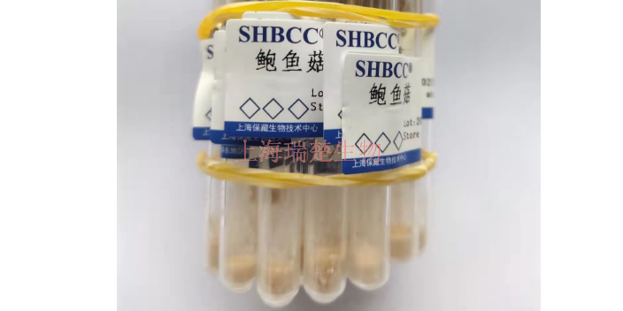 罕见假芽孢杆菌菌种 欢迎来电 上海瑞楚生物科技供应