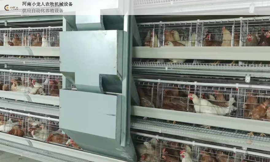 湖北新式养鸡设备价格 河南小龙人农牧机械设备供应