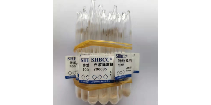 新疆類芽孢桿菌 歡迎來電 上海瑞楚生物科技供應
