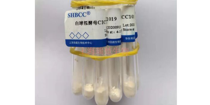 Galbibacter mesophilus菌种,菌种菌株