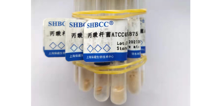 西藏木霉菌株 欢迎咨询 上海瑞楚生物科技供应